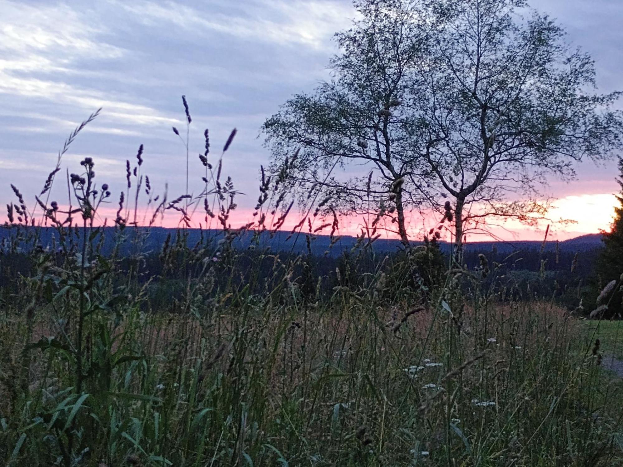 Chata S Vyhledem Jáchymov Exteriör bild