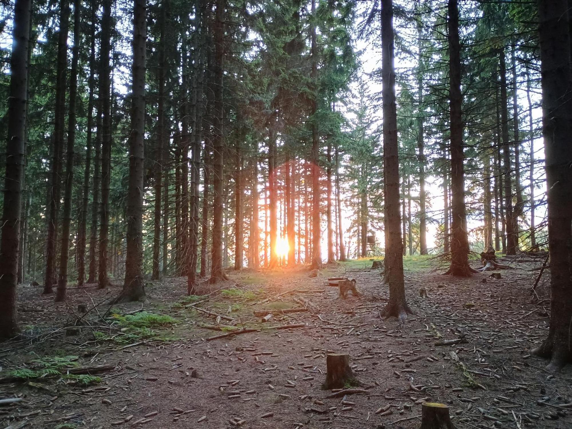 Chata S Vyhledem Jáchymov Exteriör bild
